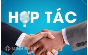 Tiềm Đối Tác Nhập Khẩu Hoa Tươi Đà Lạt